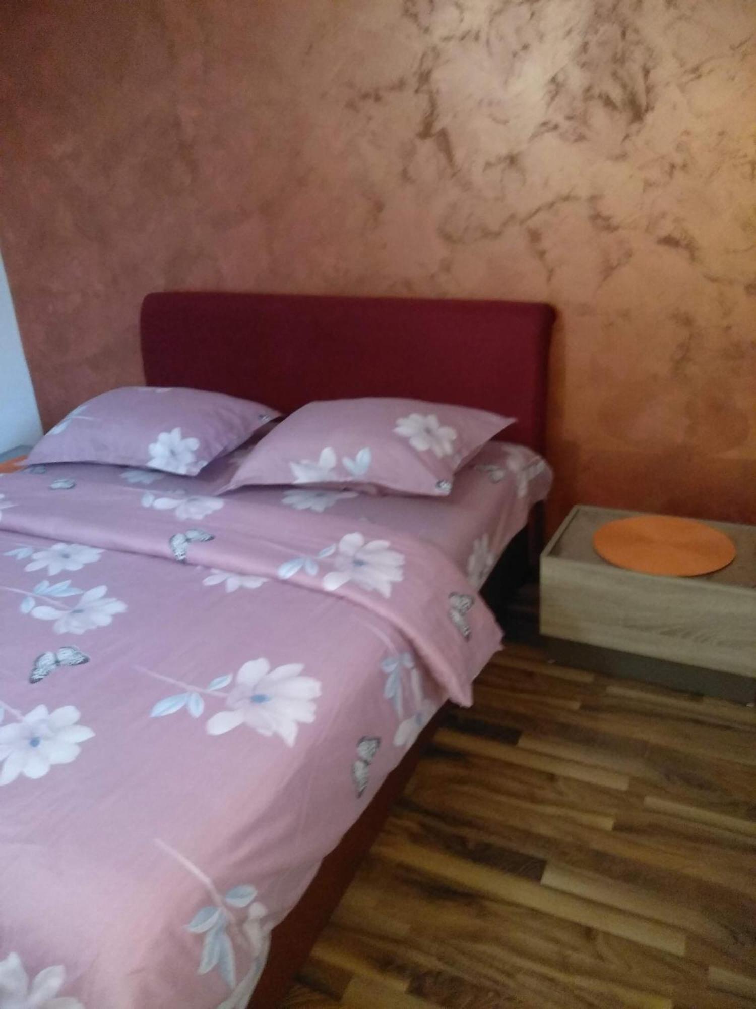 Apartments Popovic ポドゴリツァ エクステリア 写真